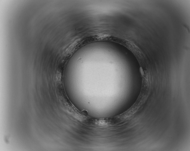 X0000102300565200808011543