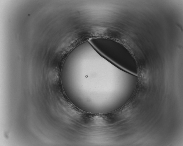 X0000102300566200808011543