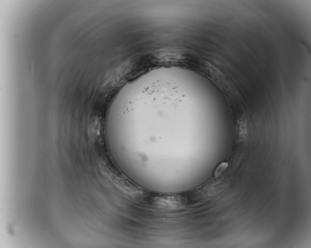 X0000102300567200808011543