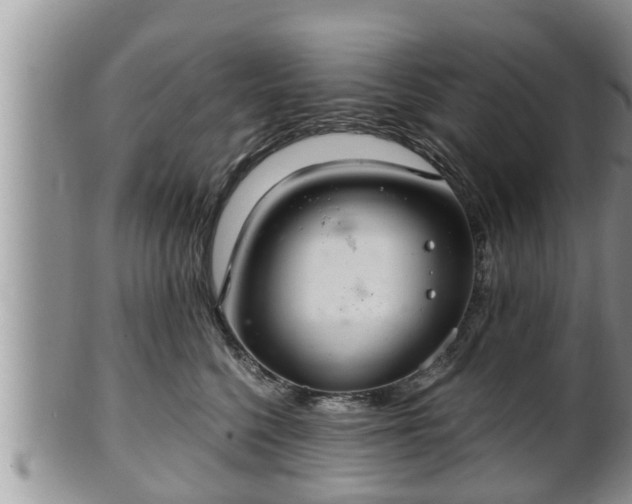 X0000102300568200808011543