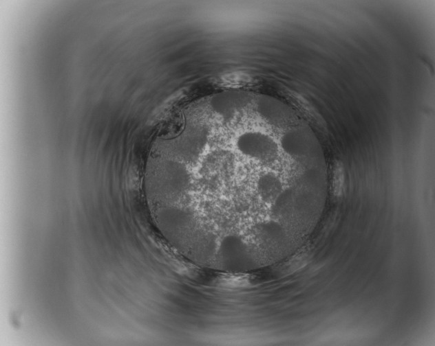 X0000102300569200808011543