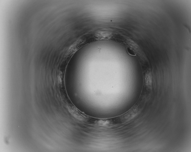 X0000102300570200808011543