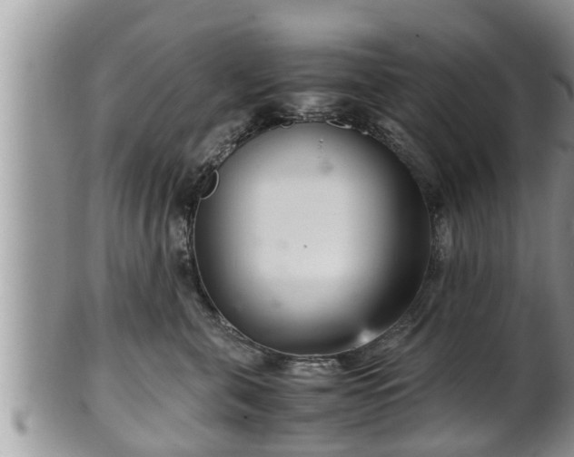 X0000102300571200808011543