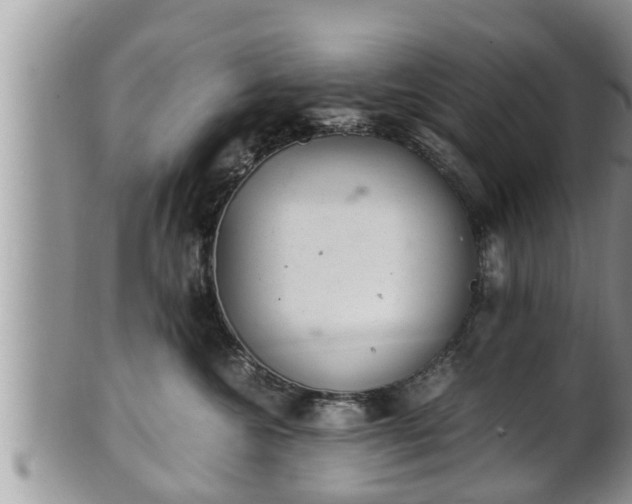 X0000102300572200808011543