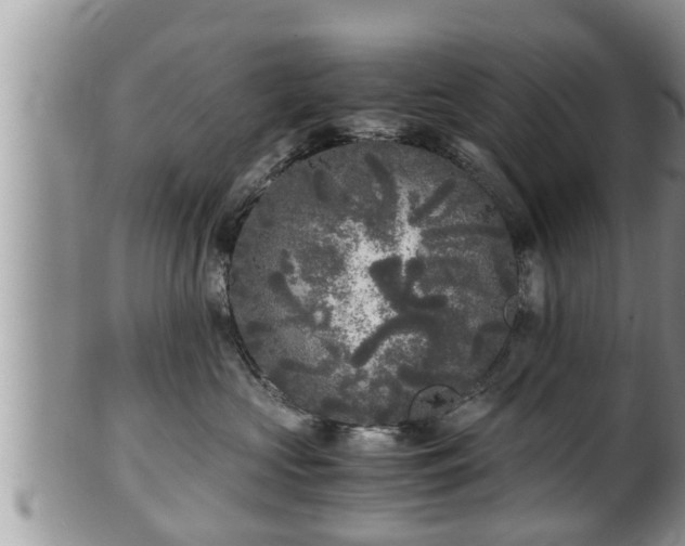 X0000102300573200808011543