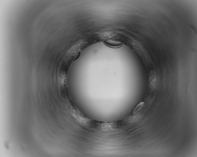 X0000102300574200808011543