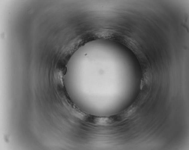 X0000102300575200808011543