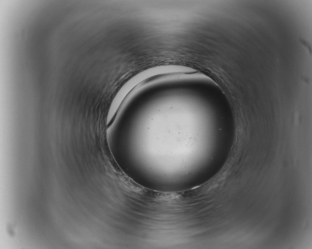 X0000102300576200808011543