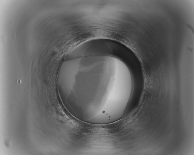 X0000102300577200808011542