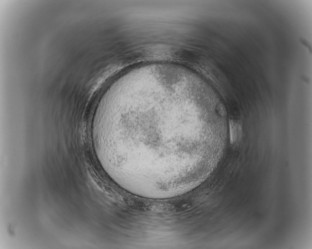 X0000102300579200808011542