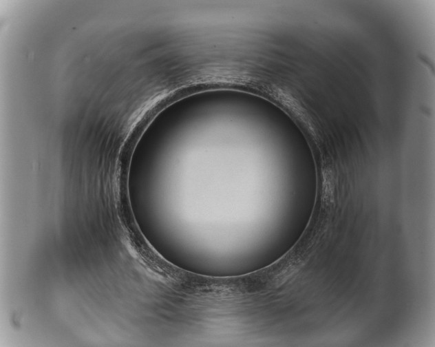 X0000102300580200808011542