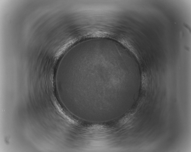 X0000102300581200808011542