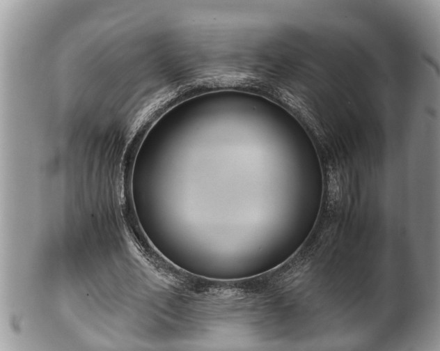 X0000102300582200808011542