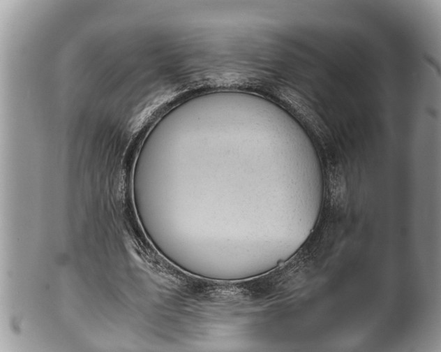 X0000102300583200808011542