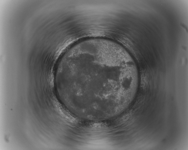 X0000102300584200808011542