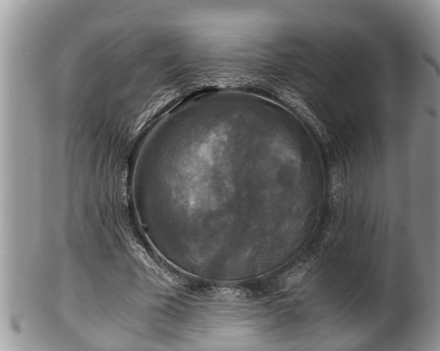 X0000102300585200808011542