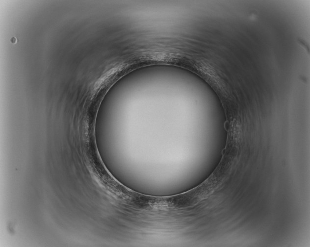 X0000102300587200808011542