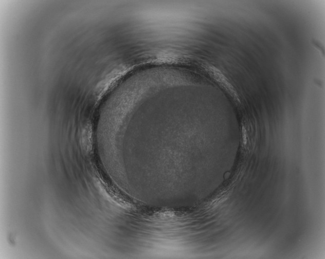 X0000102300588200808011542