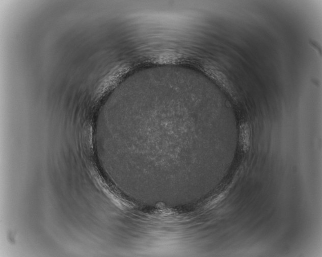 X0000102300589200808011542