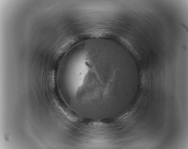 X0000102300590200808011542