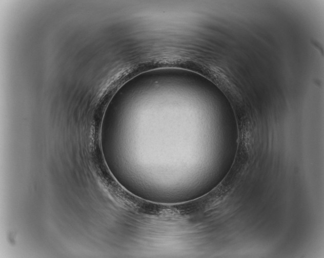 X0000102300591200808011542