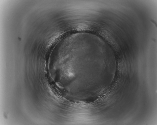 X0000102300592200808011542