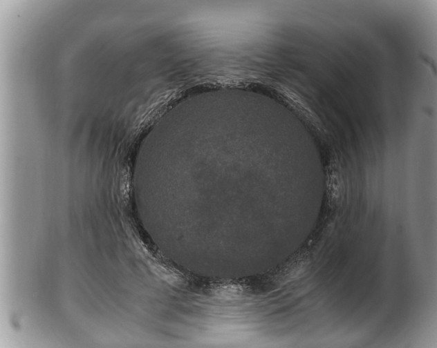 X0000102300593200808011542