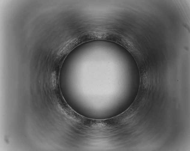 X0000102300594200808011542