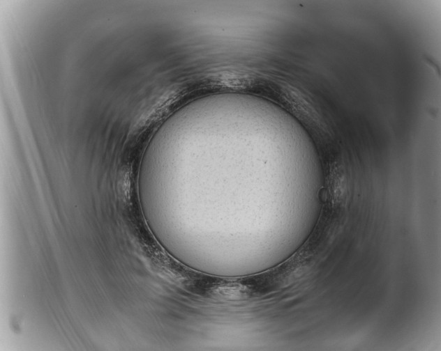 X0000102300595200808011542