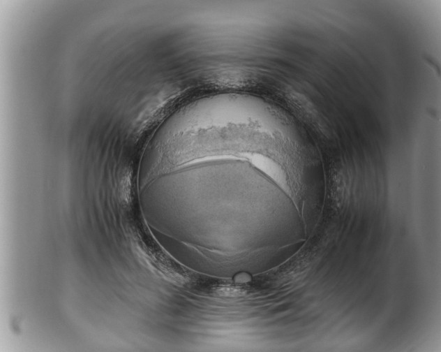 X0000102300596200808011542