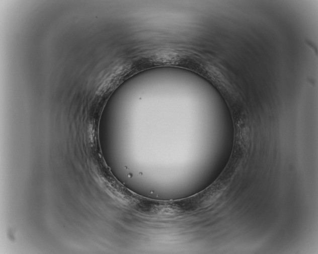 X0000102300597200808011542