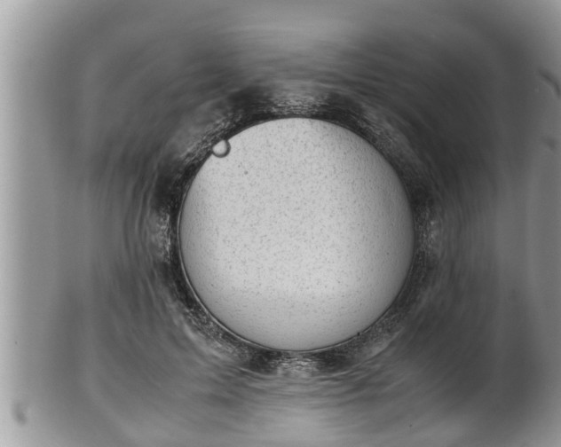 X0000102300599200808011542