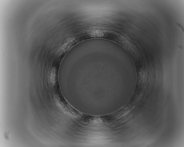 X0000102300600200808011542