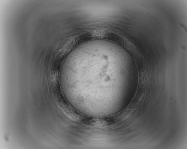 X0000102300601200808011542