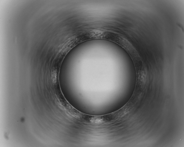 X0000102300602200808011542