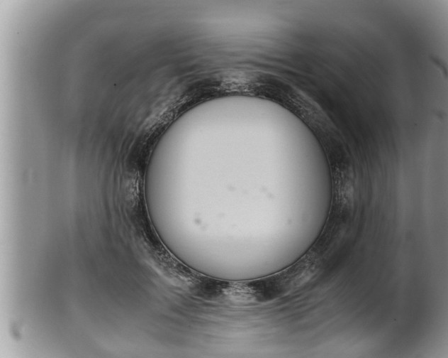 X0000102300603200808011542