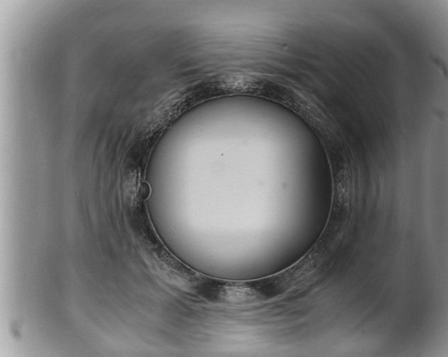 X0000102300605200808011542