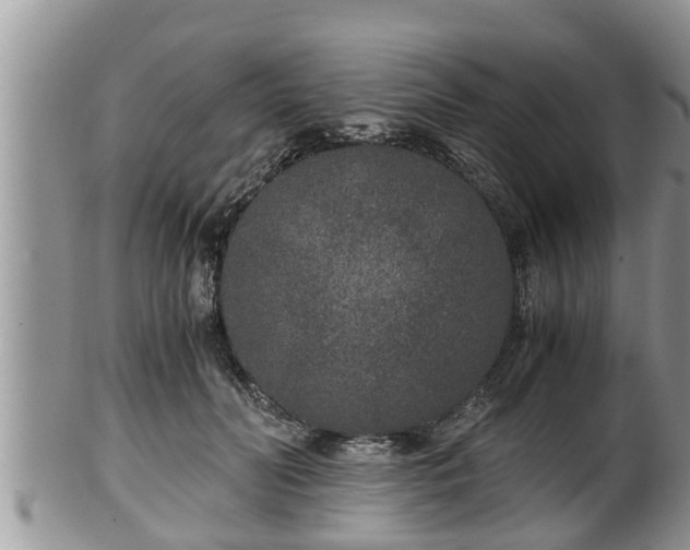 X0000102300606200808011542