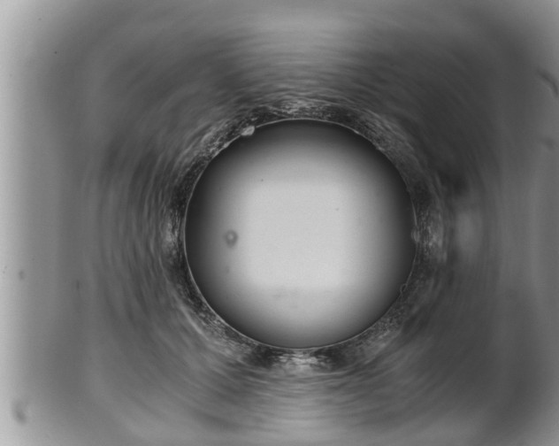 X0000102300607200808011542