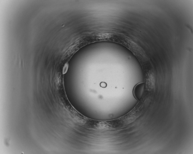 X0000102300608200808011542