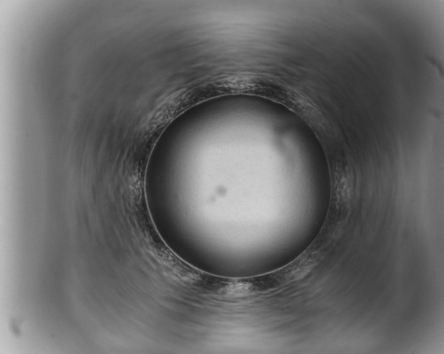 X0000102300609200808011542