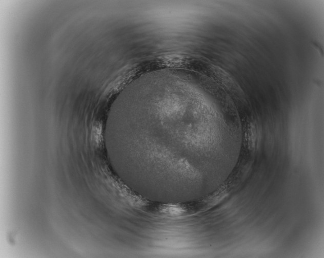 X0000102300610200808011542