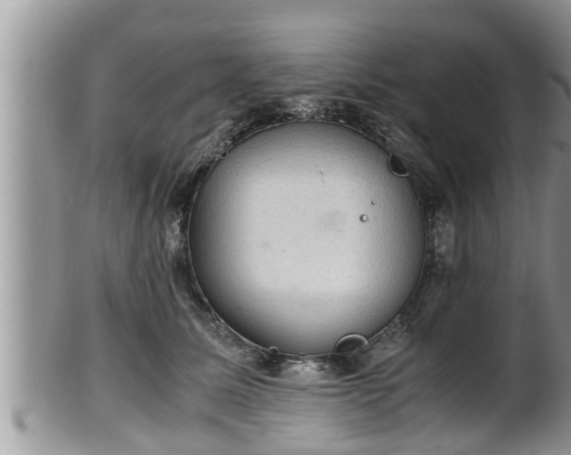 X0000102300611200808011542