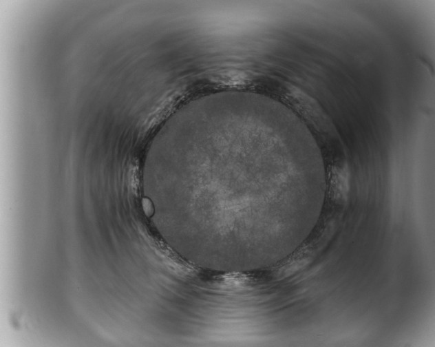 X0000102300612200808011542