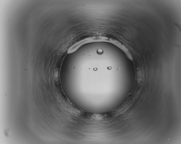 X0000102300613200808011542