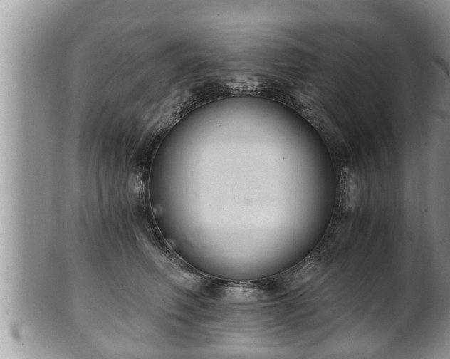 X0000102300614200808011542