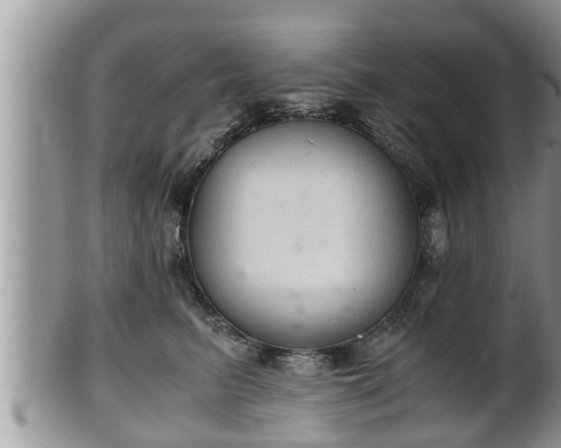 X0000102300615200808011541