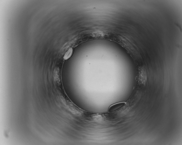 X0000102300616200808011541