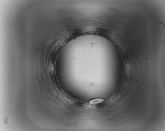 X0000102300617200808011541