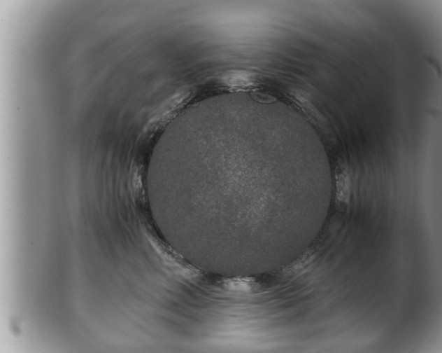 X0000102300618200808011541